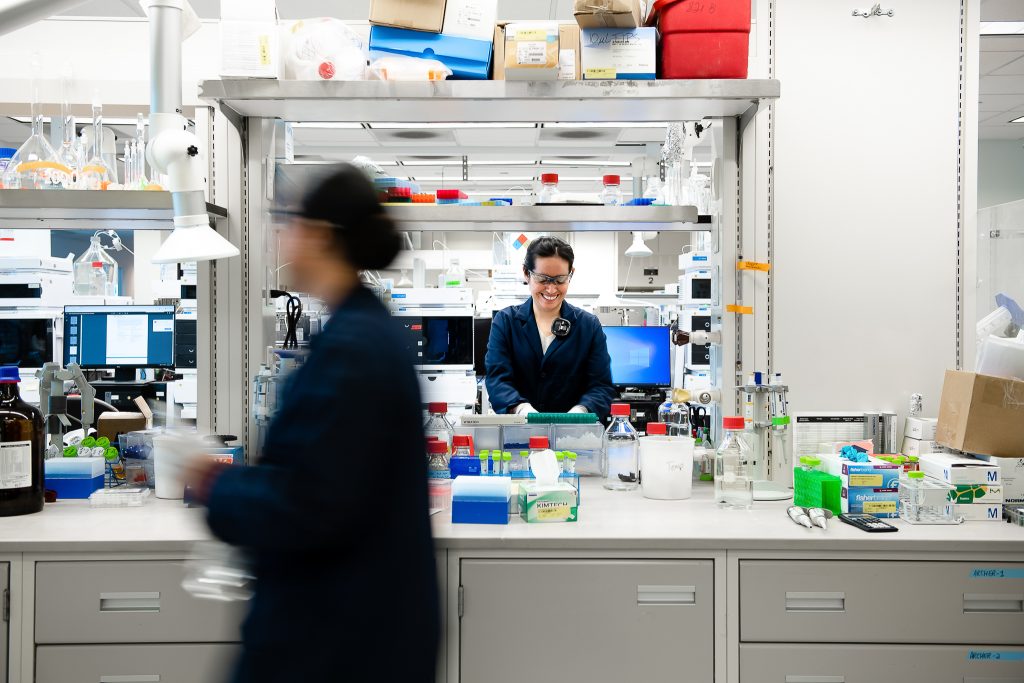 Scientists at work in high tech laboratory facility